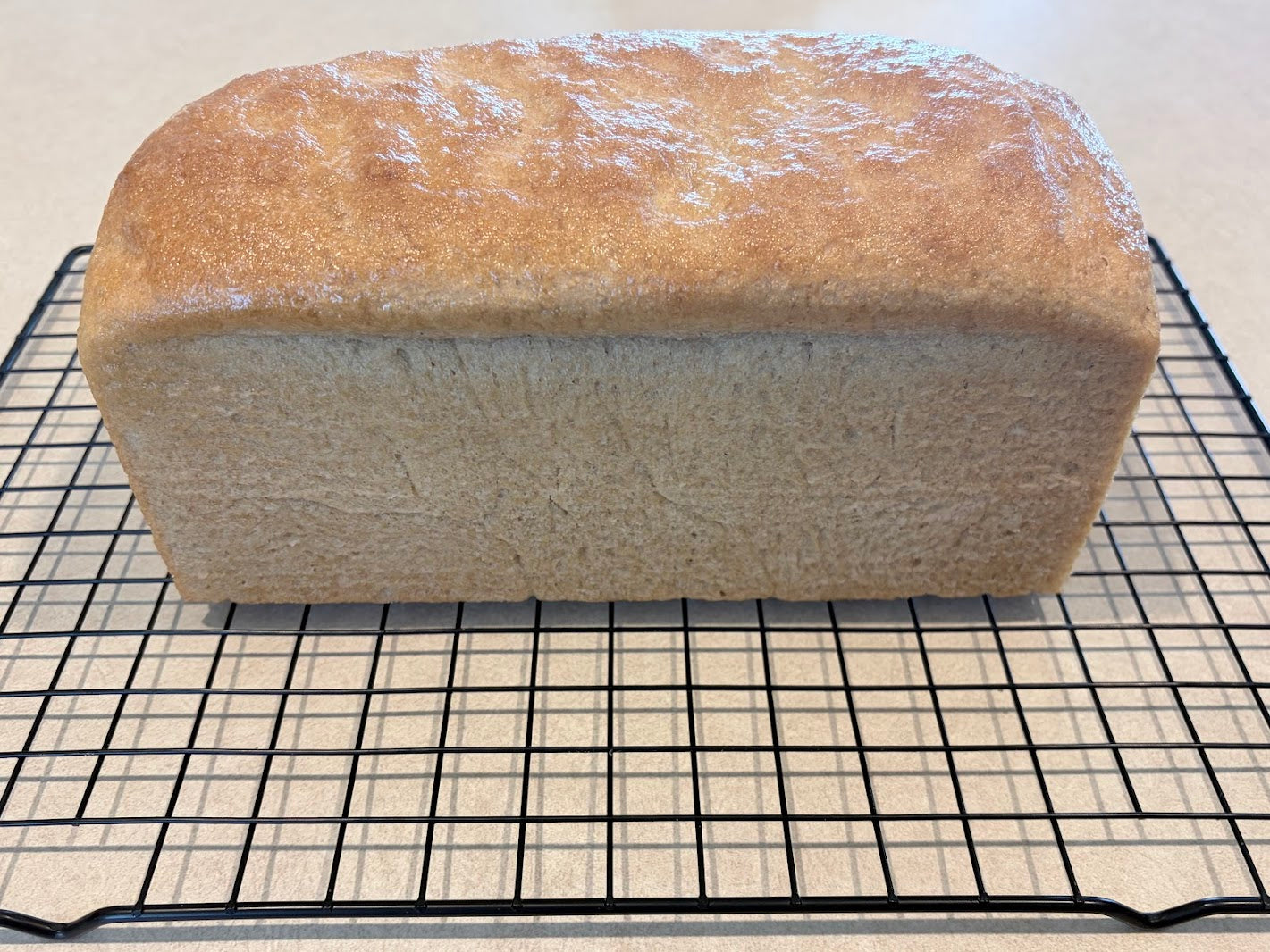 Fresh-Milled Country Loaf