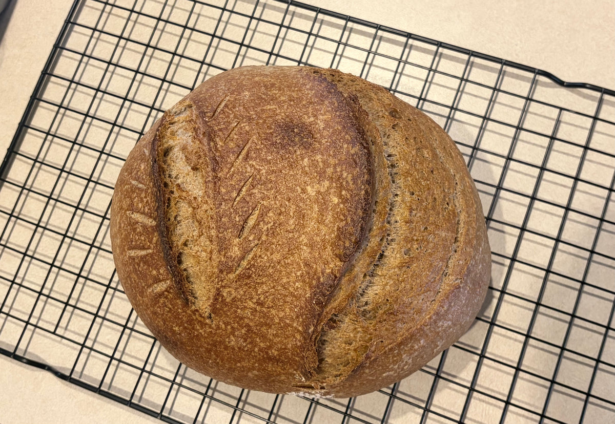 Fresh-Milled Red Winter Wheat Sourdough